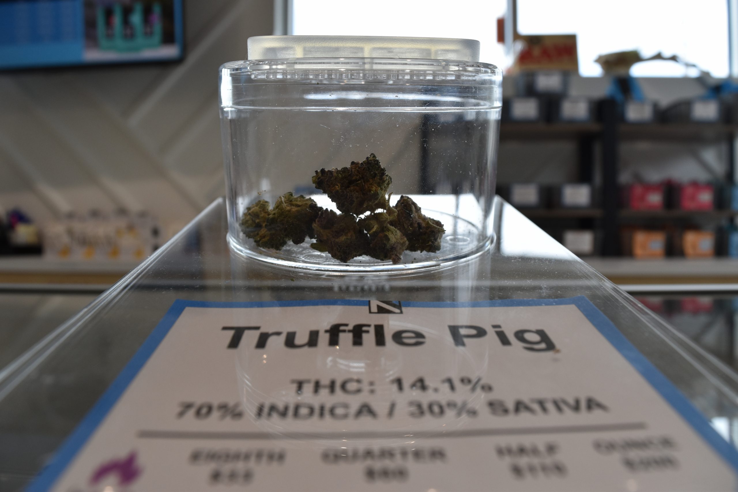 Truffle Pig NOBO Muskegon