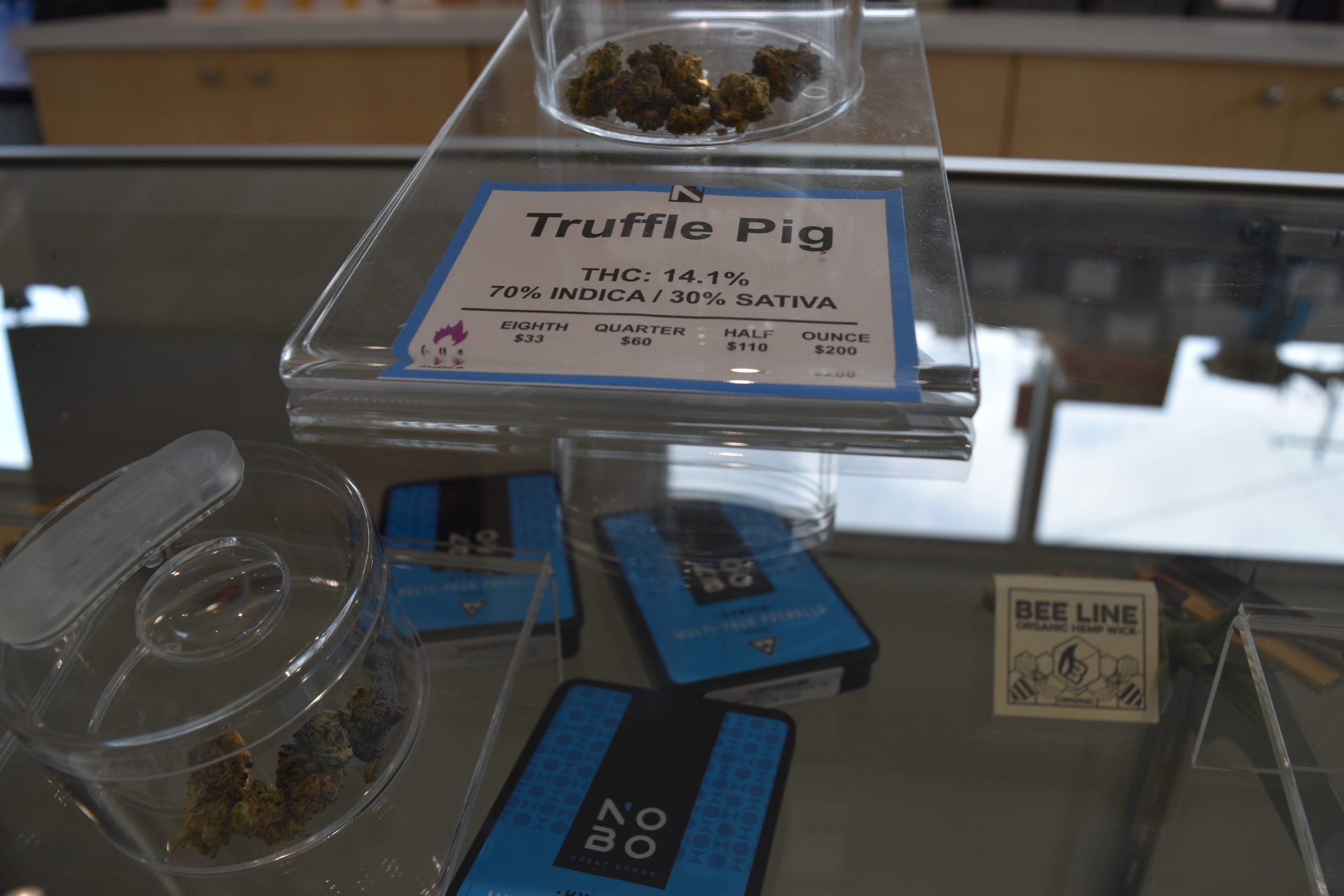 Truffle Pig