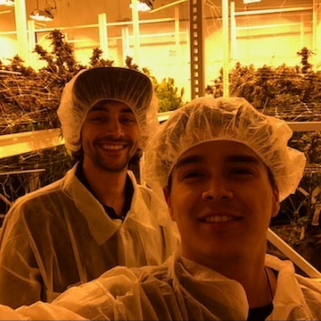 Cannadave & Grooveemusic