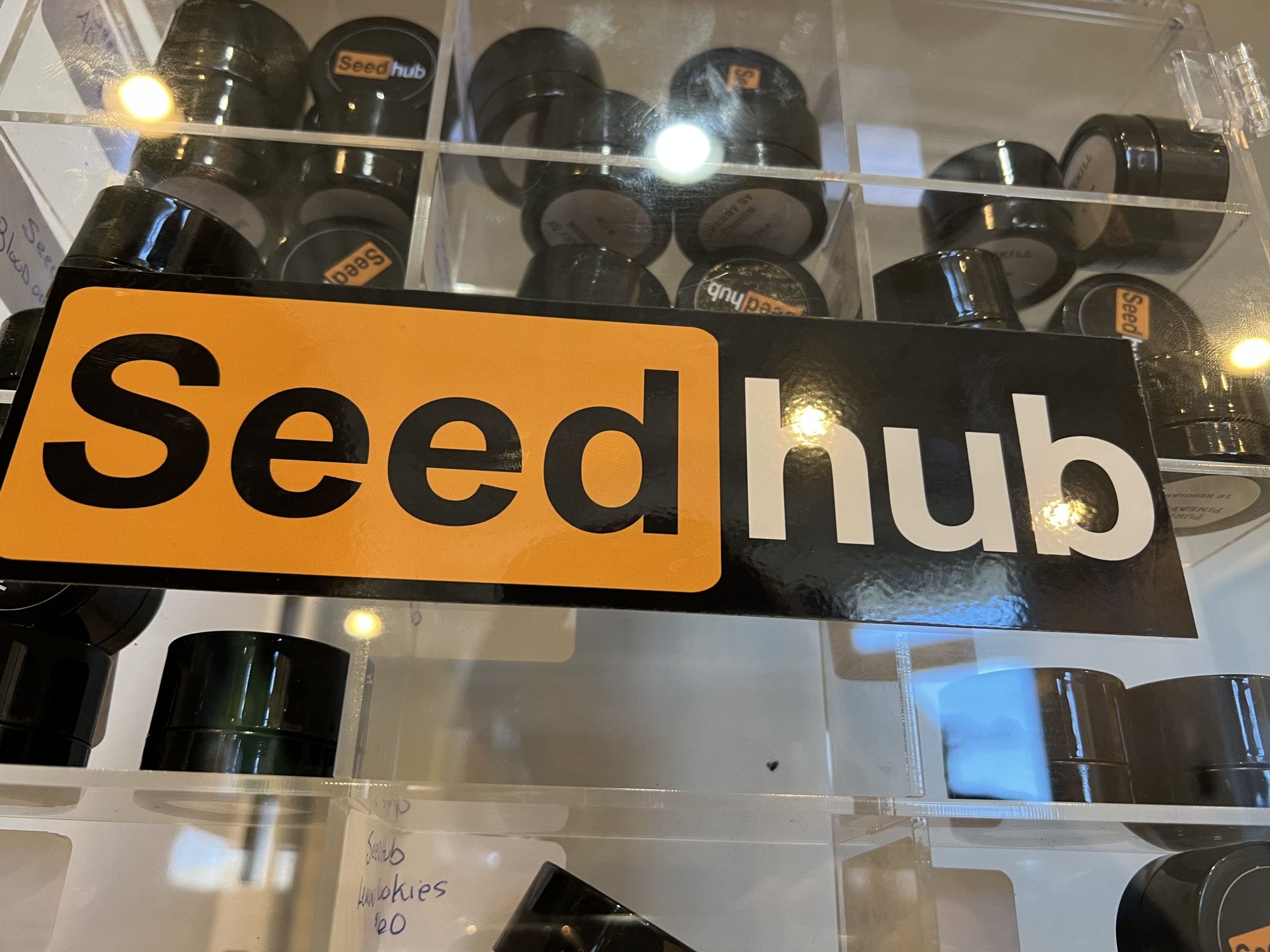 Seedhub Logo & Seeds
